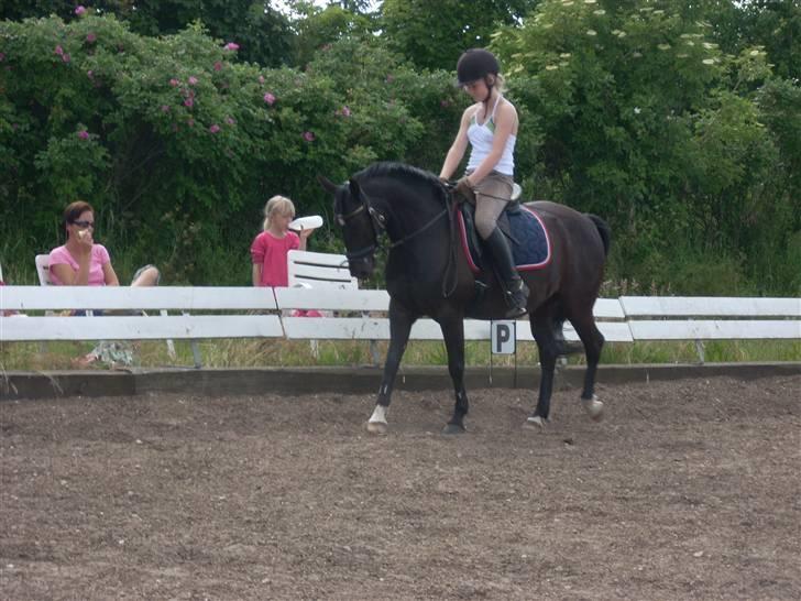 New Forest meteor - Du er såå sød! billede 8