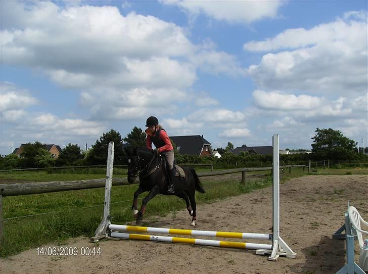 New Forest meteor - spring billede 10