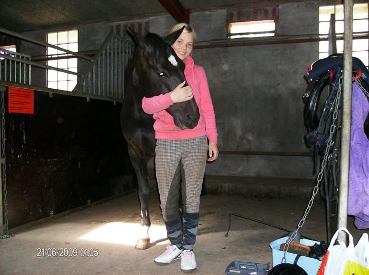 New Forest meteor - inde i stalden billede 11