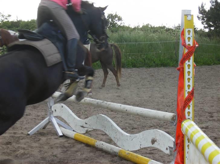 New Forest meteor - godt billede billede 12