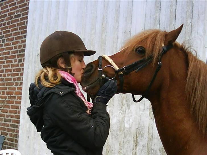 Anden særlig race Maxi *min drømmeprins* - BILLED 2. Kira elsker bare at kysse Maxi på mulen :* <3 billede 2