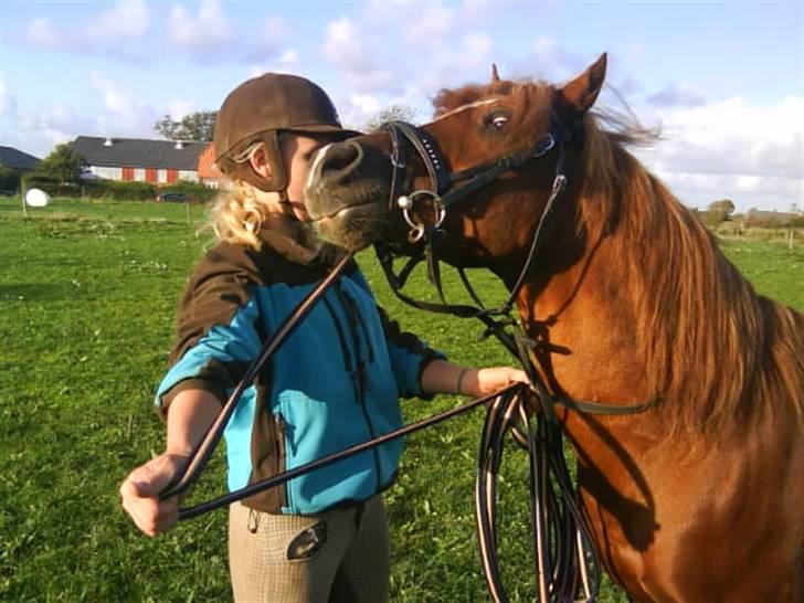 Anden særlig race Maxi *min drømmeprins* - BILLED 6. *Tjaa, man kan vidts godt sige at han er en stædig gammel herre!* billede 6