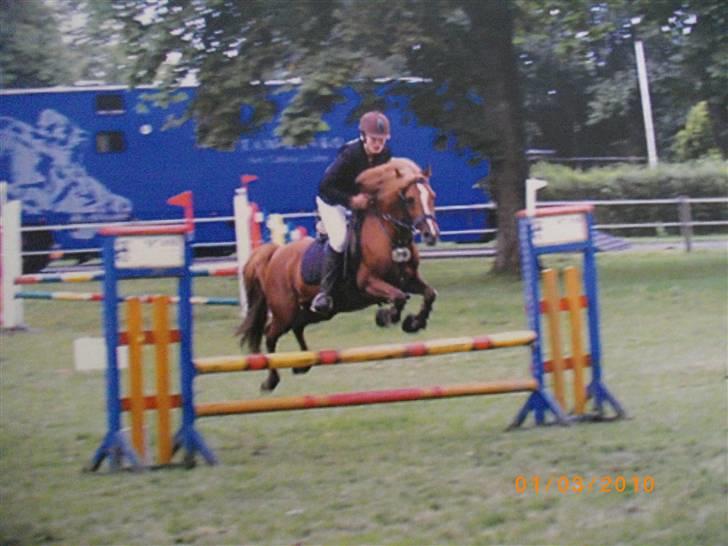 Anden særlig race Maxi *min drømmeprins* - BILLED 16. mig og maxi til stævne i bylderupbov, vores første LA og vi vandt :D<3 billede 16