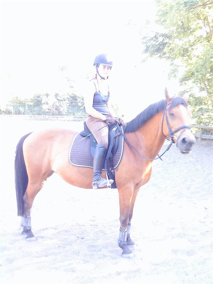 Anden særlig race Panick ( Solgt ) - R.I.P <3 - ». Fordi det var den bedste sommer. billede 20