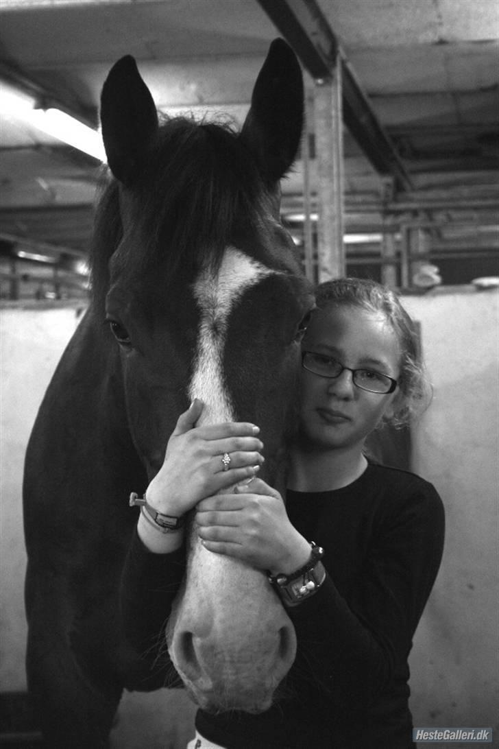 Anden særlig race Buzzio (udtales Bosjo) - vi love hinanden :-*  men ligner ikke på mit ansigt men ELSKER HAM!!!!!! - foto: Gulerod / louise pilgaard billede 4