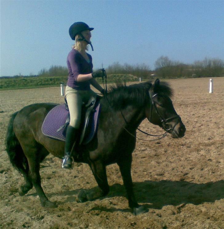 Anden særlig race Bobby - kill the spare - Voldemort <3  billede 15