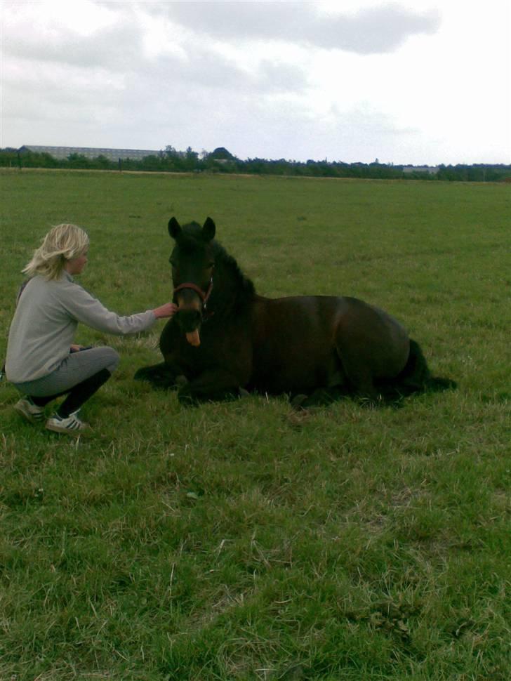 Anden særlig race Bobby - you must be some kind of english fucking cunt. you heard me. I think you're afraid. possibly, your father is a homosexual donkey. I will fight you myself. you can choose any weapon - Thomas Tomone <3  billede 19