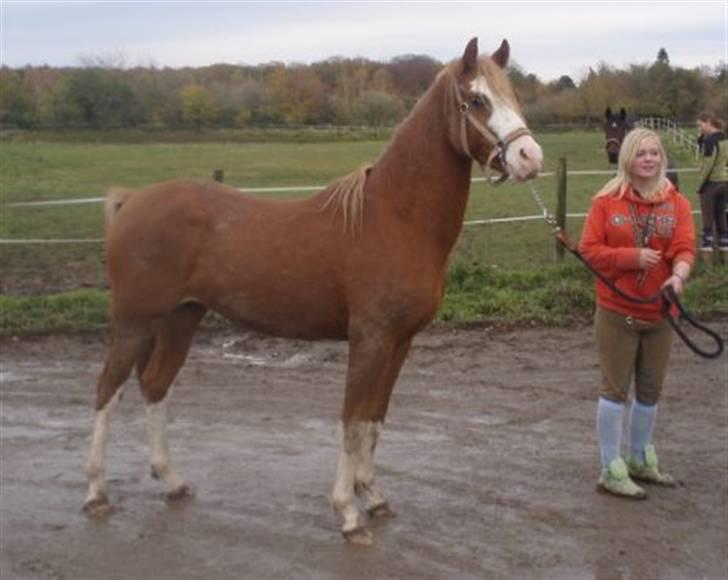 DSP Brandamens Jabari SOLGT - førstedagen på HGR! alt skal tjækkes godt ud <3 billede 7