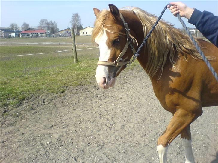 DSP Brandamens Jabari SOLGT - rundt om banen´ <3 billede 9