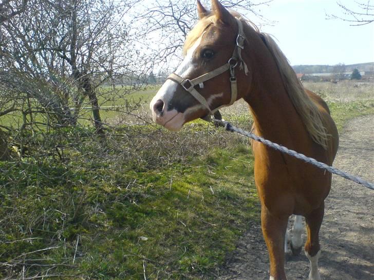 DSP Brandamens Jabari SOLGT - Hovedebillede <3 billede 10