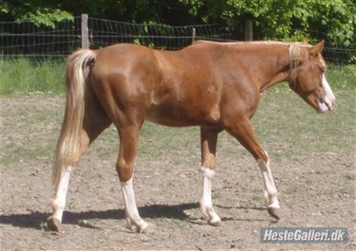 DSP Brandamens Jabari SOLGT - ´´ jer gider jeg ikke snakke med mer´ nu går jeg min vej ´´ <3 hah billede 11