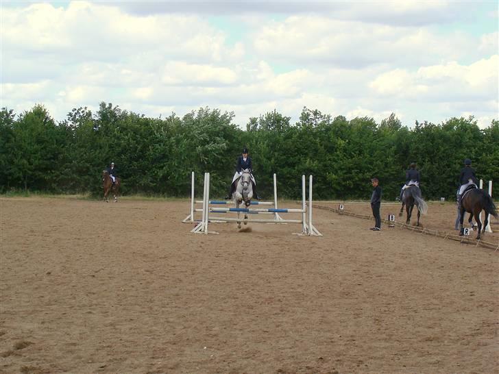 Lipizzaner Klaus † R.I.P. † - Til Klubmesterskab 08 billede 19