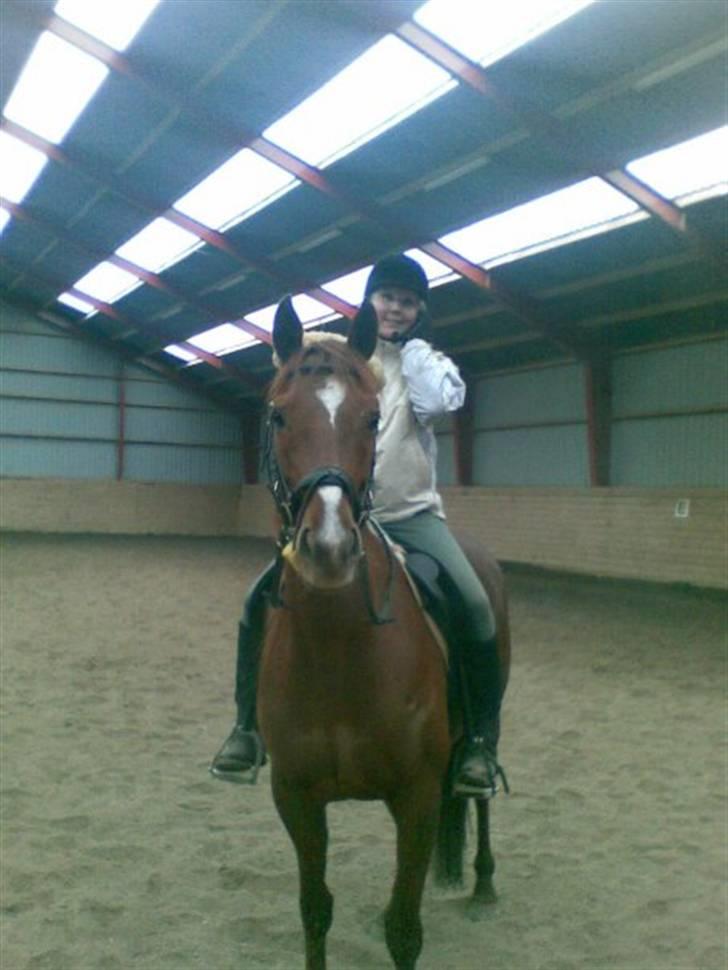 Fuldblod (XX) **Refreshment** R.I.P billede 15