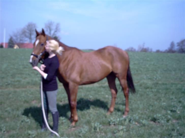 Fuldblod (XX) **Refreshment** R.I.P billede 17