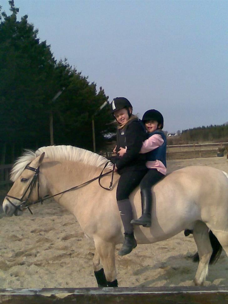 Fjordhest Dalton (R.I.P) Min himmelhest<3 - Mig og min lillesøster på Dalton billede 1