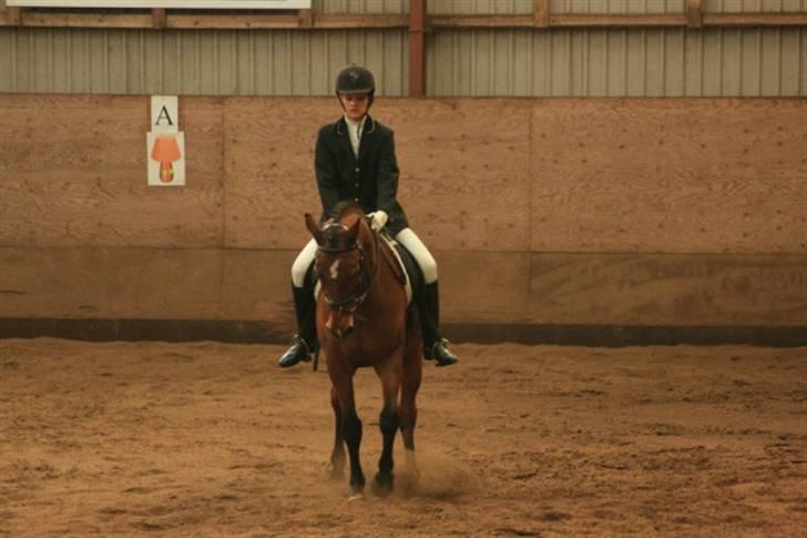 Anden særlig race Delight - schenkelvigning billede 19