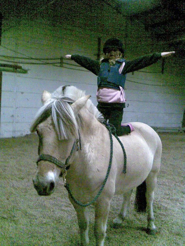 Fjordhest Dalton (R.I.P) Min himmelhest<3 - min søster flyver "I belive I can fly" billede 2