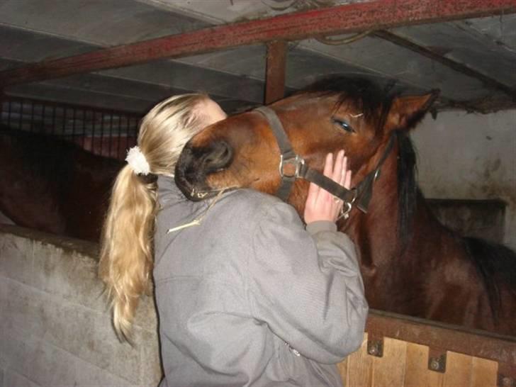 Barockpinto Adina SOLGT! billede 5