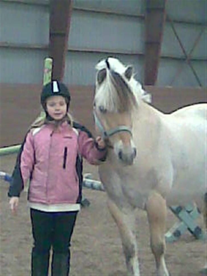 Fjordhest Dalton (R.I.P) Min himmelhest<3 - Lystspring billede 5