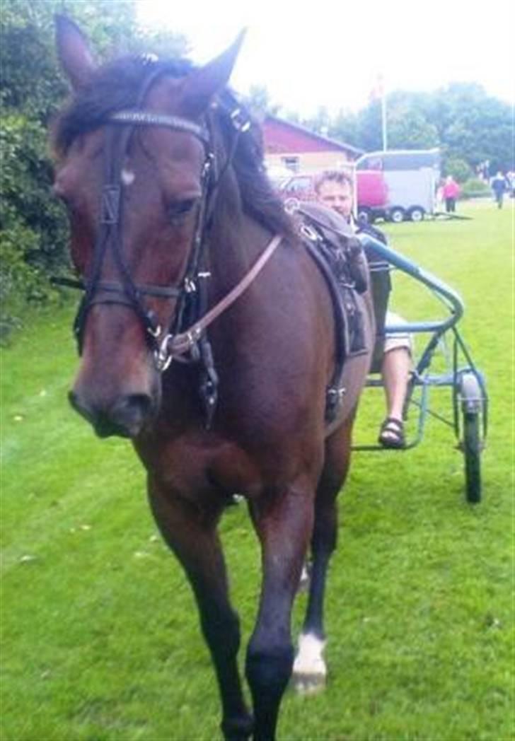 Traver David Nordal <3 Du vil altid være alt! billede 4