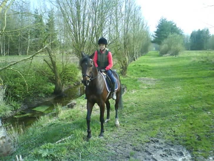 Traver David Nordal <3 Du vil altid være alt! billede 6