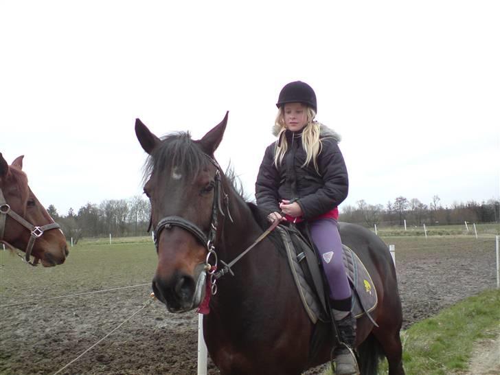 Traver David Nordal <3 Du vil altid være alt! billede 13