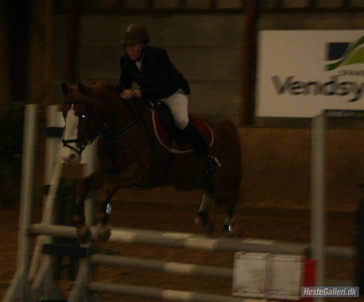 Anden særlig race Skovbrynets Nichlos billede 16