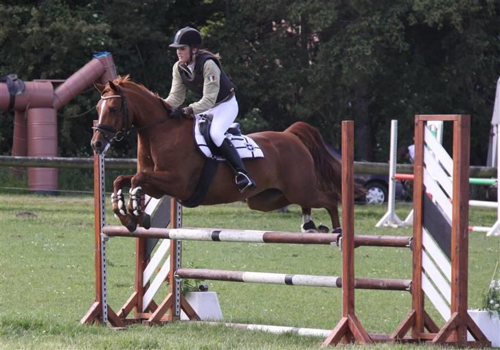 Tysk Sportspony Celette  - Omspringning SRR 2009 billede 15