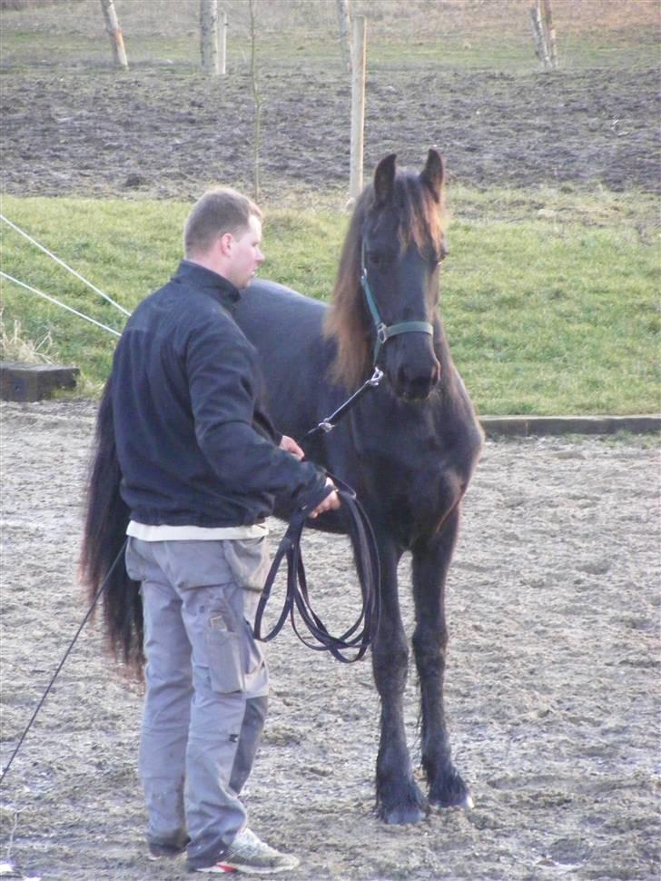 Frieser Zultan von Indegården billede 13