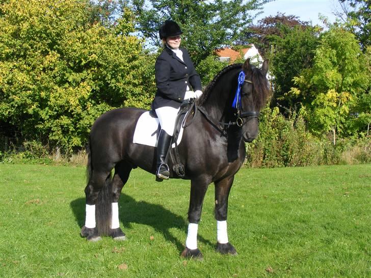 Frieser Bink billede 14