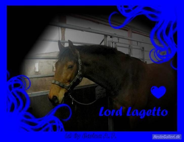 Holstener Lord Largetto - Lavet af Carina<33 billede 13