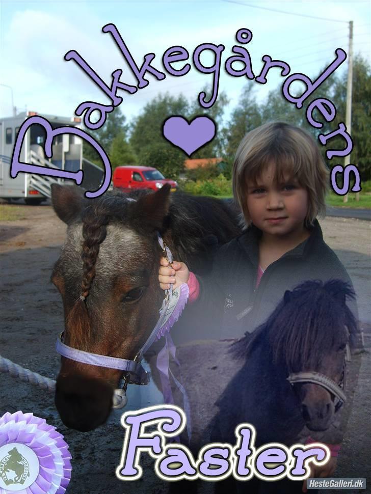 Shetlænder Faster - min lillesøster til deres første stævne:-) billede 1