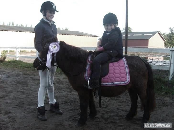 Shetlænder Faster - Oktober 07´: Emma og faster er MEGET stolte:-) billede 8