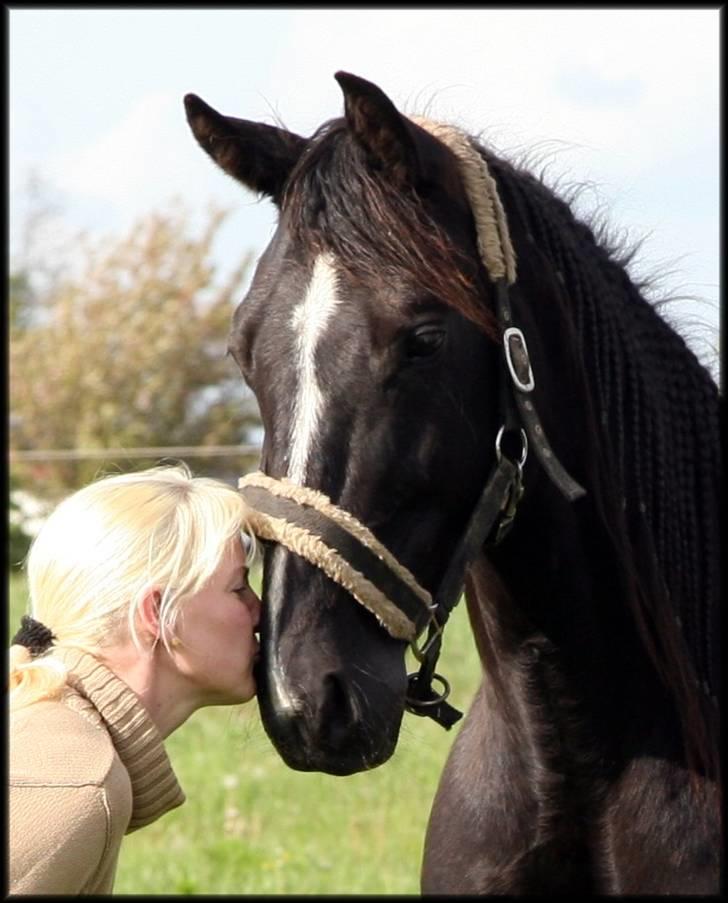 Anden særlig race Noir Rêver - Et kys fra mig til min sorte døm - Noir Rêver    <3                   (19.05.09) billede 1
