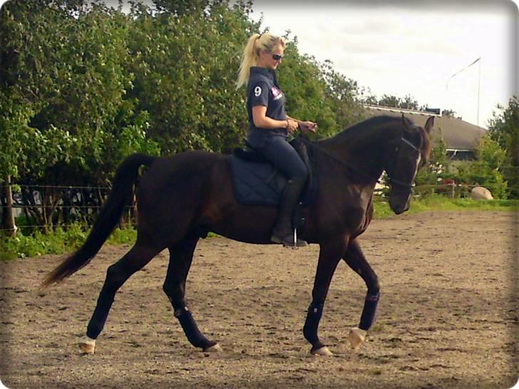Anden særlig race Noir Rêver - Her er et af de få billeder af mig som rider på Noir.  =D billede 6