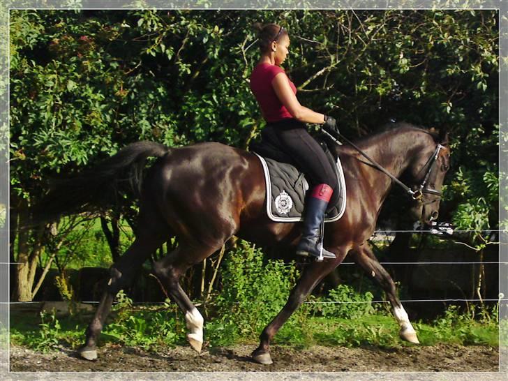 Anden særlig race Noir Rêver - 22.08.09  billede 7