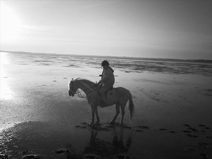 DSP Mascot-My soulmate<3 - Mascot ved stranden-10 billede 7