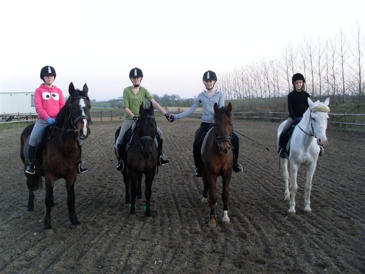 Anden særlig race Jonatan<3 (rideskole.pony) *himmelpony - os ridetøser (: mig og Jonatan helt til venstre<3. billede 4