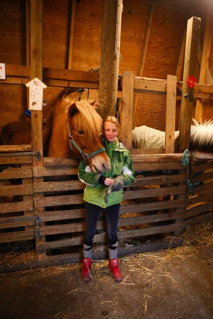 Islænder Dagur *Peter Pan* R.I.P   - mig og dagur foto:Carsten billede 13