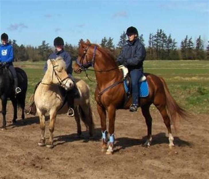 Traver Bounty Toftebjerg - Så var vi på ridetur med 4 andre:) billede 9