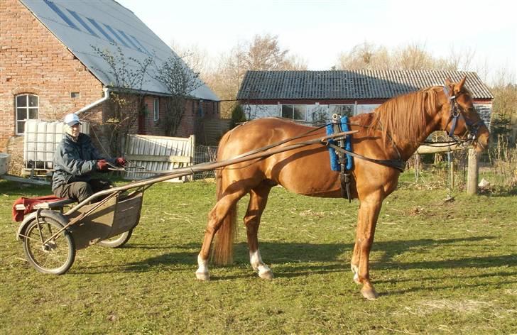Traver Bounty Toftebjerg - Første køreturen på Bounty. billede 10