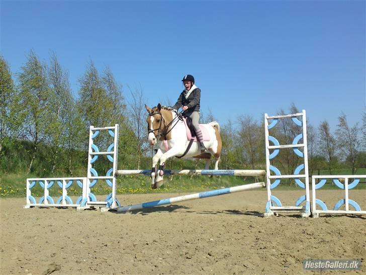 Anden særlig race *Tea's Baby Dolly* - Mig og Dolly springer 80 cm ! desværre kan jeg ik helt følge med, ellers et fantastisk spring ;) billede 4