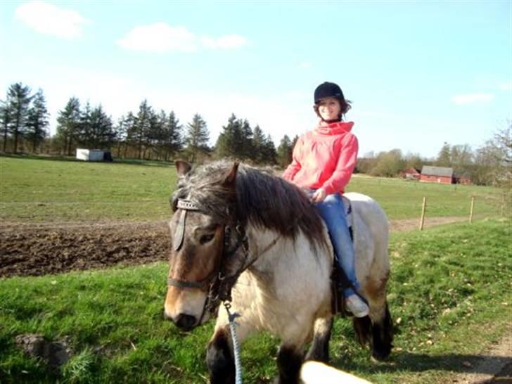 Belgier Bianca af Farendløse - Paige og Bianca  billede 18