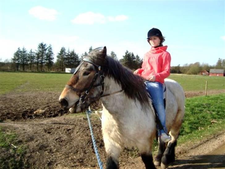 Belgier Bianca af Farendløse - Paige og Bianca d: billede 19