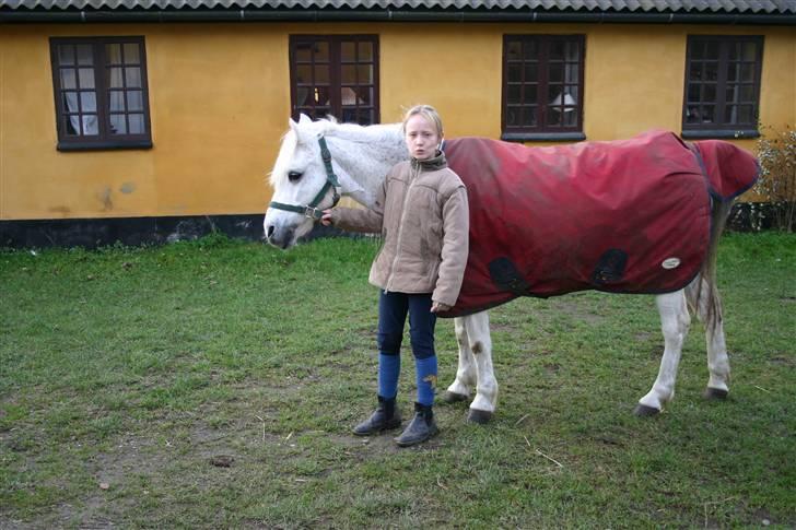 Anden særlig race Maj *Gamle part* billede 14