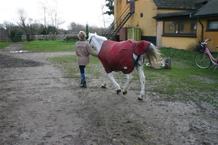 Anden særlig race Maj *Gamle part* billede 15