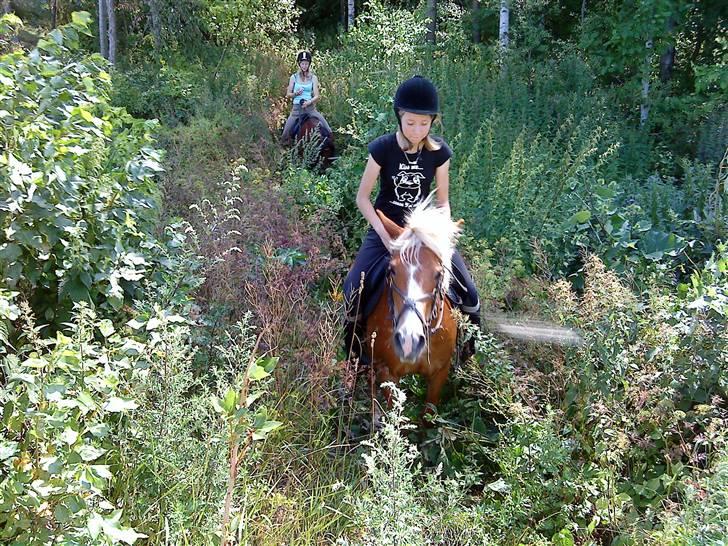 Anden særlig race Sasha *savnet !!!* - På tur <3<3 billede 10