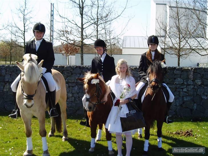 Anden særlig race Sasha *savnet !!!* - Mig og Sas i midten ! 

Til Charlottes konfirmation !  billede 13