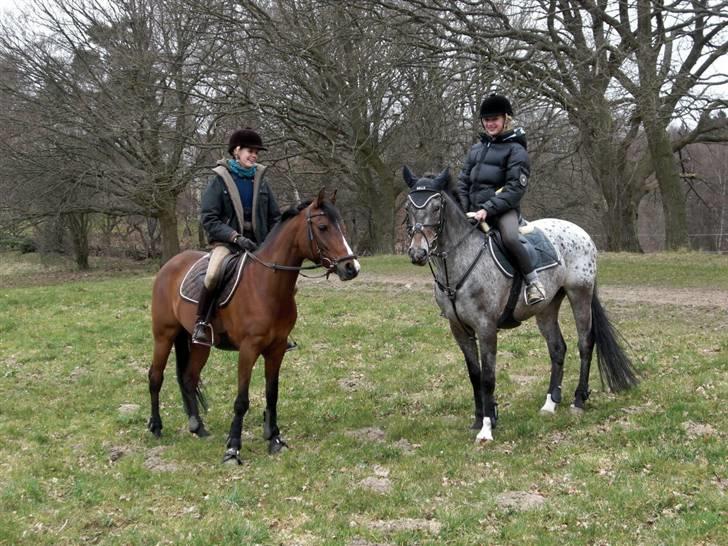 Anden særlig race Foxy Lady - Lille + Ugle <3 d. 5/4-09 billede 17