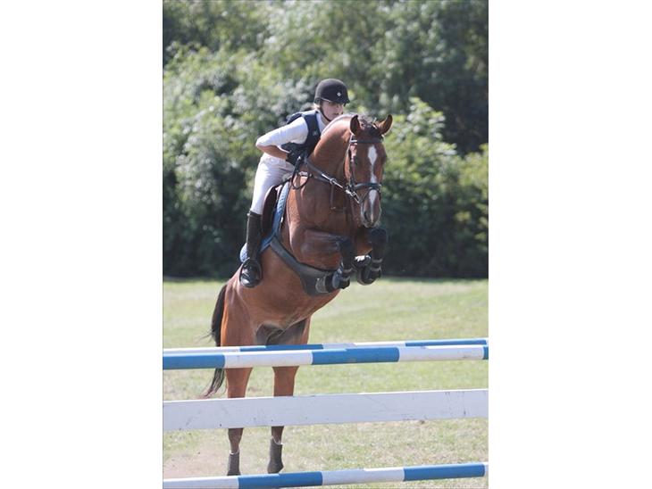 {{currentPhoto.altText}} billede {{currentPhoto.number}}